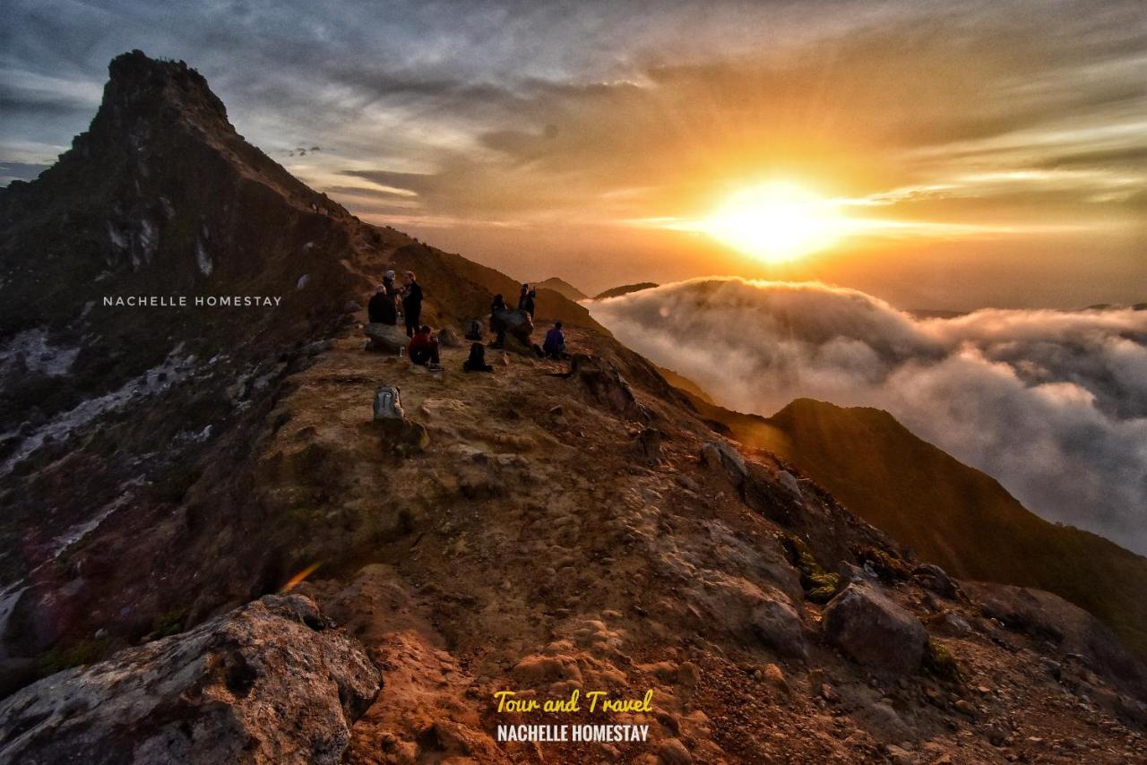 Nachelle Homestay Berastagi Luaran gambar