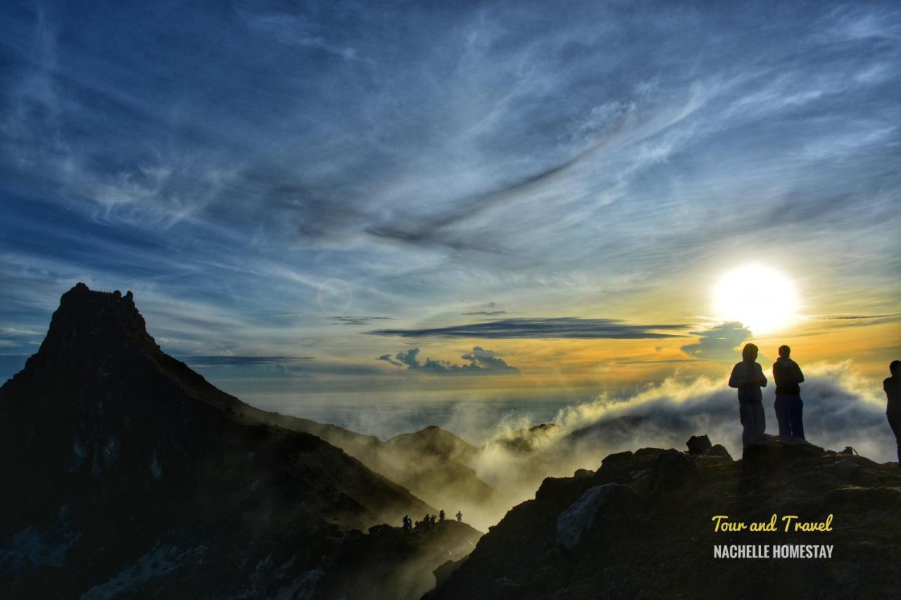 Nachelle Homestay Berastagi Luaran gambar